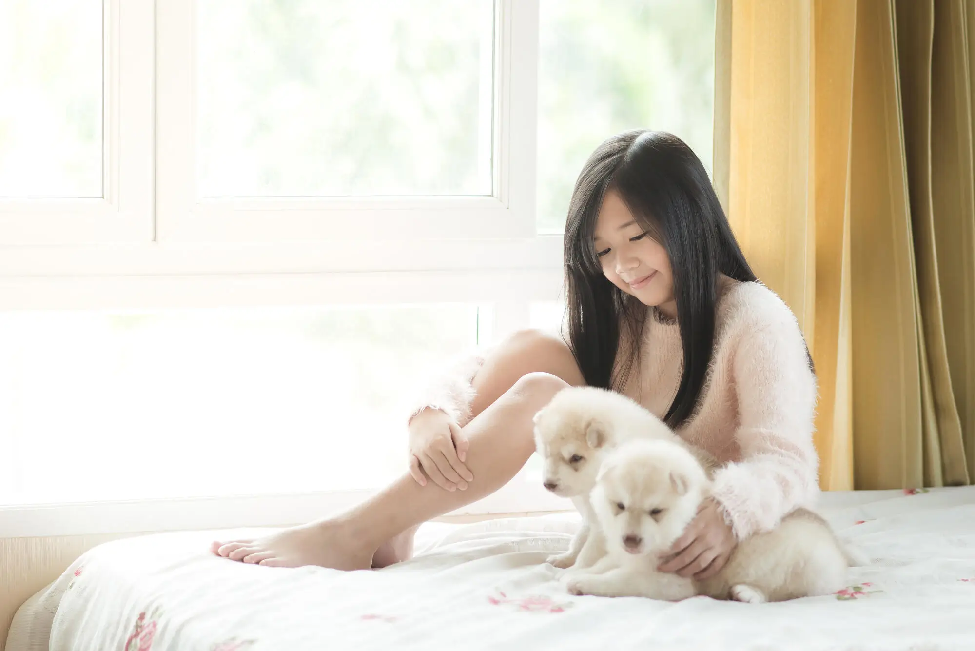 Pros and Cons of Allowing Pets in your Rental Property